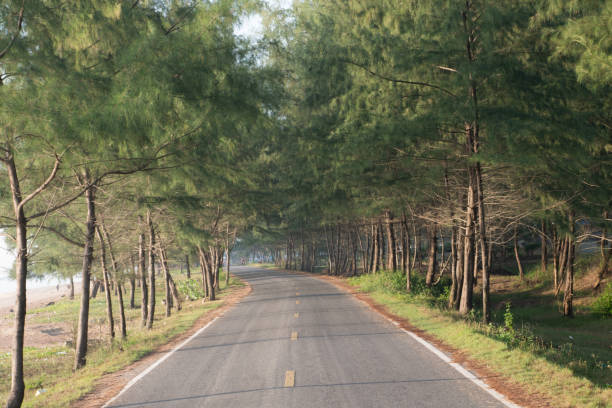 istock Small road pathway along with the trees and beach side when sunshines 1093447986