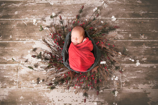 Holiday Baby A portrait of a newborn baby wrapped in Christmas themed cheesecloth and crochet wrap. wreath photos stock pictures, royalty-free photos & images