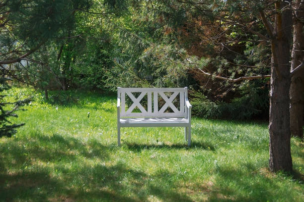 istock empty beautiful wooden bench in a green summer park 1093456806
