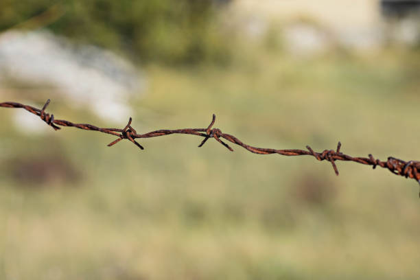 background details/ Wire fence over field