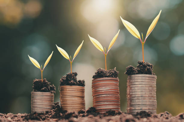 istock young plant growing on money stack with sunlight nature background 1093461100