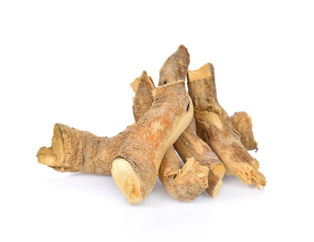 istock eurycoma longifolia also known as tongkat ali isolated on white background. 1093464412