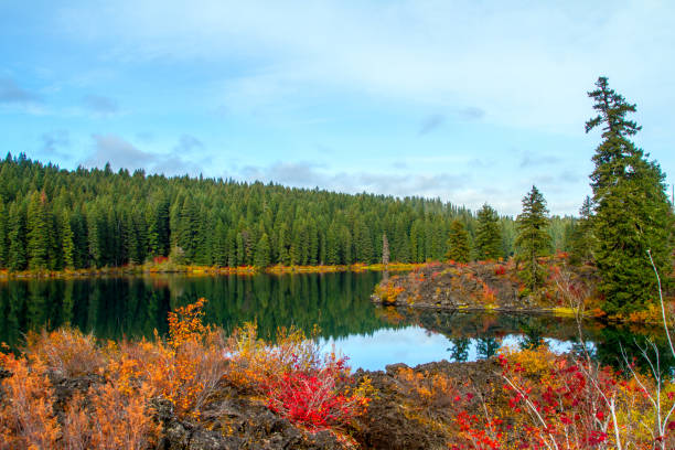 istock Autumn at Clear lake, Oregon, USA. 1093468784