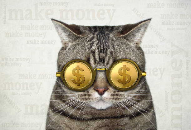 istock Cat in gold dollar glasses 2 1093473314