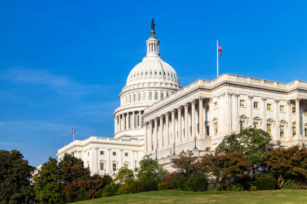 the united states capitol building on a sunny day. - state government imagens e fotografias de stock