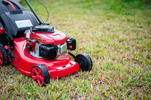 istock close up lawn mower in the park on the grass. over light [blur and select focus background 1093485116