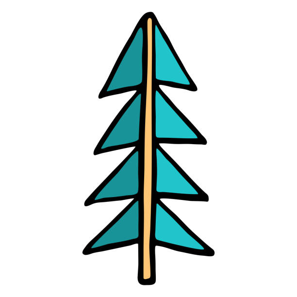 istock Drawing of a Christmas Tree, spruce or fir drawn by hand 1093489898