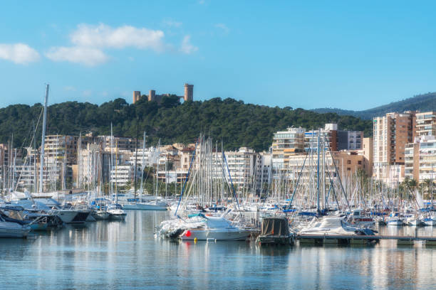 vue sur le port maritime et le château de bellver à palma de majorque, îles baléares, espagne - majorca yacht palma marina photos et images de collection