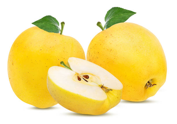 istock Yellow apples with leaf isolated on white background with clipping path 1093493772
