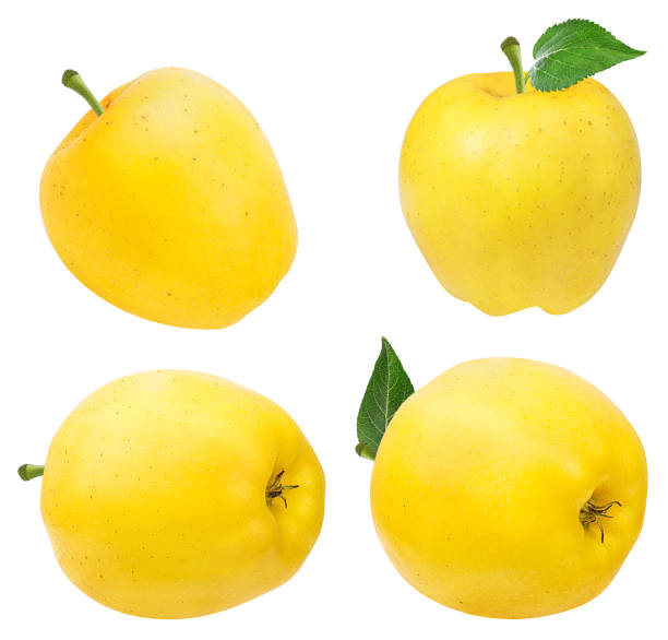 istock Yellow apples with leaf isolated on white background with clipping path 1093494420