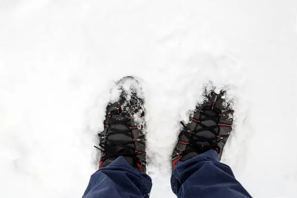 Photo of Snow Shoes