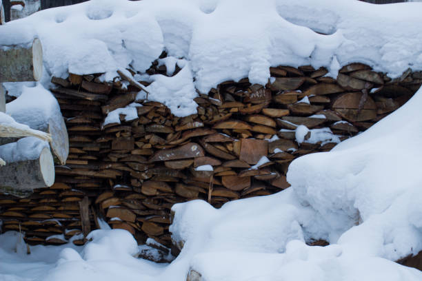 chop wood  axe trees snow  winter
