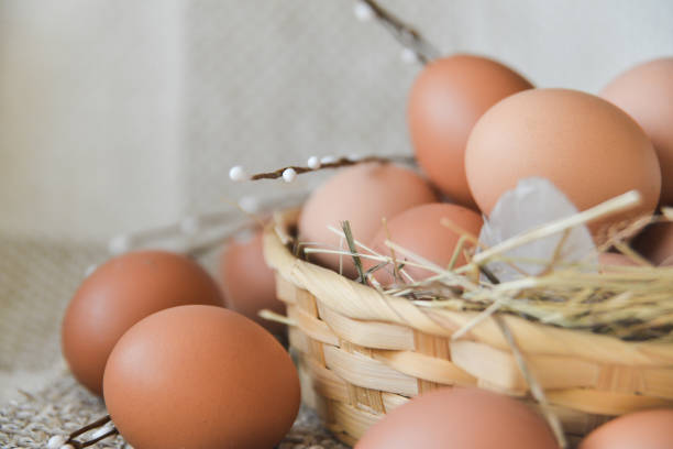 istock fresh farm chicken egg in the basket on textile background, preparation for Easter 1093501866