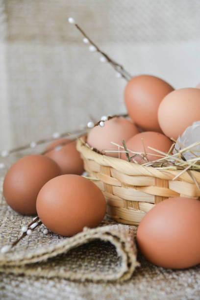 istock fresh farm chicken egg in the basket on textile background, preparation for Easter 1093501874
