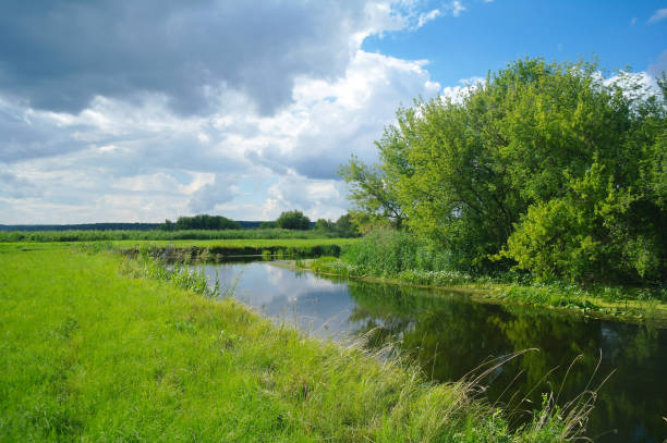 istock river, land with trees and cloudy sky 1093503470