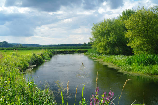 istock river, land with trees and cloudy sky 1093503472