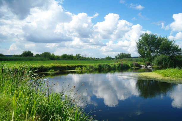 istock river, land with trees and cloudy sky 1093503494