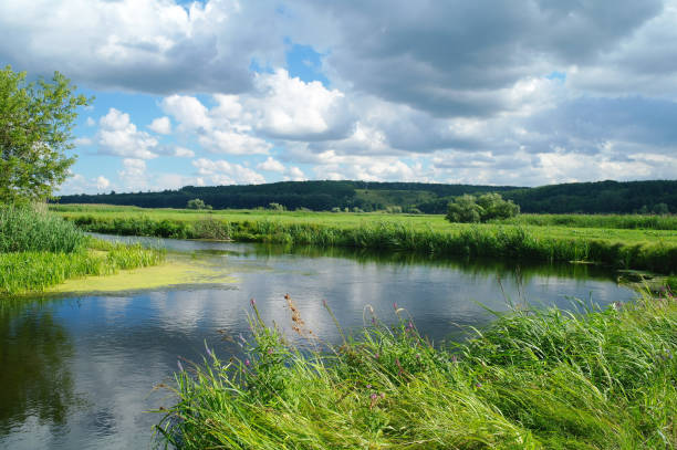 istock river, land with trees and cloudy sky 1093503496