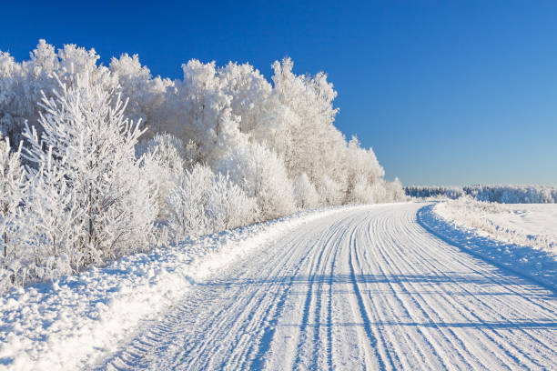 istock winter landscape with road and forest 1093505148