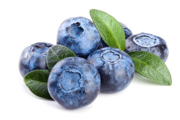 istock fresh blueberry with leaf isolated on white background 1093505200
