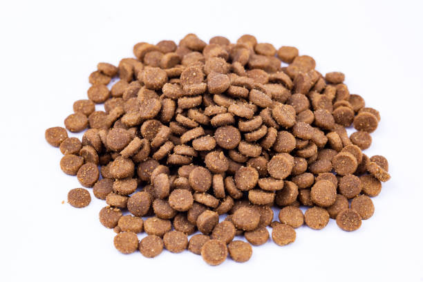 istock Dry foods for cats on the white background 1093509950