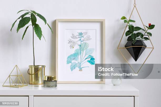 Minimalistic Home Interior Floral Poster Mock Up With Vertical Wooden Photo Frame Avocado Plant Accessories And Hanging Plant In Geometric Pot On White Wall Background Concept Of White Shelf - Fotografias de stock e mais imagens de Moldura de Quadro