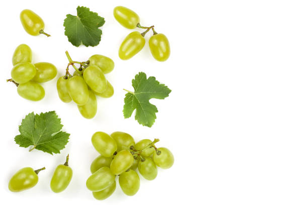 istock green grapes isolated on the white background with copy space for your text. Top view. Flat lay pattern 1093512678