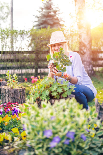 istock Woman planting flowers 1093514712