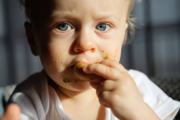 istock Feeding a baby in a highchair 1093517722