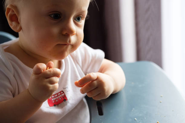 istock Feeding a baby in a highchair 1093518342