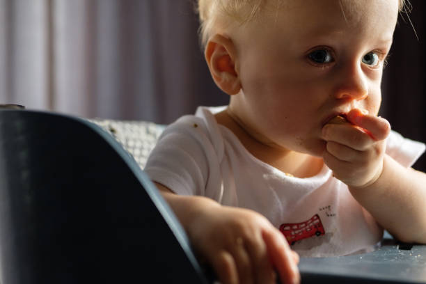 istock Feeding a baby in a highchair 1093518430