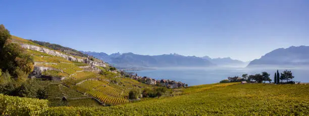 Photo of Panorama view of the Unesco heritage of Laxaux vineyard region along the Geneva Lake