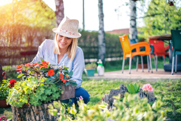 istock Woman planting flowers 1093522786