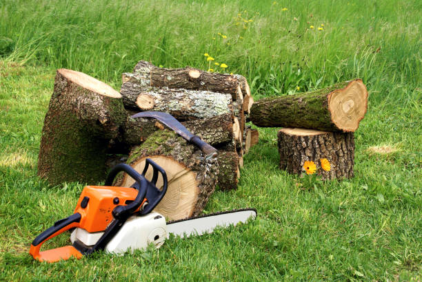 istock Chain saw and cut wood. 1093526862