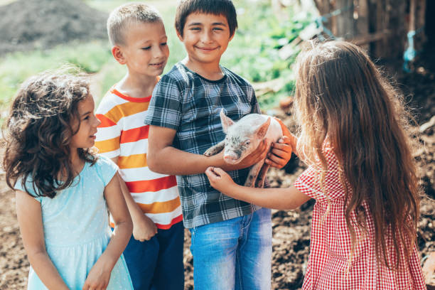 istock Group of children with piglet 1093528342