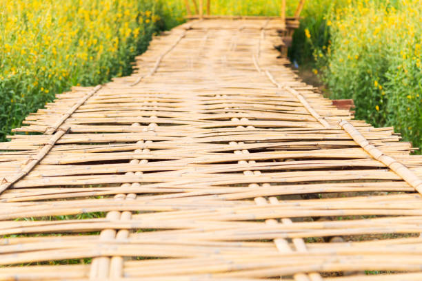 Bamboo made small bridge isolated unique photo
