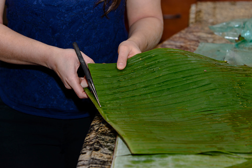 A young woman is in the kitchen cutting banana leaves used in making central American tamales. Tamales are a traditional Latin American dish.  It is prepared using corn meal along with rice, vegetables and either pork or chicken meat.  It is a traditional food usually prepared around the Christmas holiday.