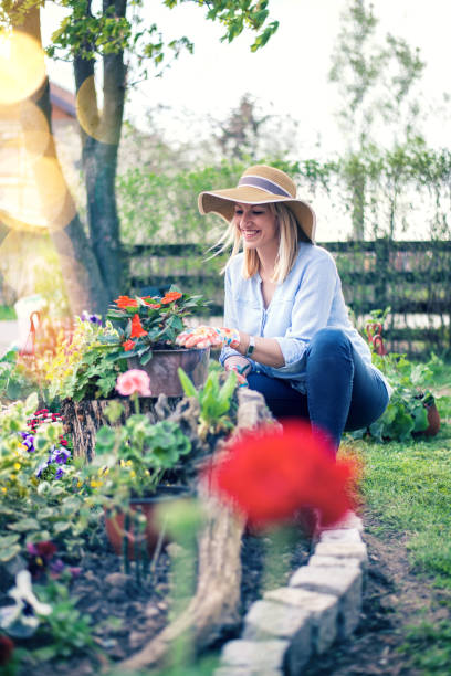 istock Woman planting flowers 1093529446