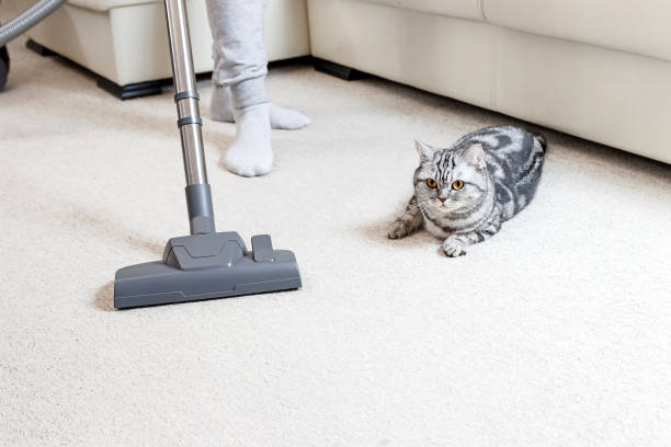 istock girl vacuuming the house. bright carpet and light leath sofa 1093537448