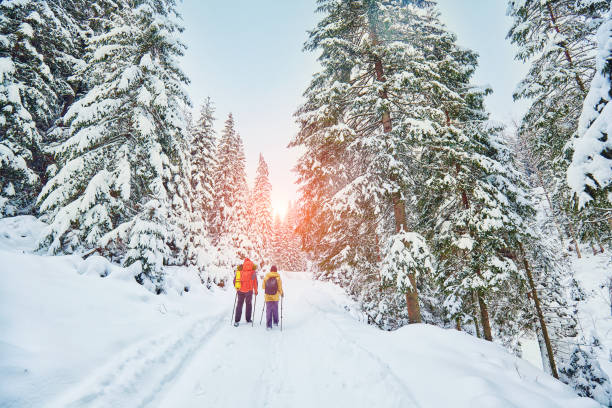 istock snow covered hiking trail in winter forest 1093546228