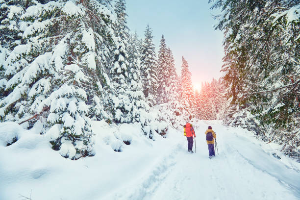 istock snow covered hiking trail in winter forest 1093546230