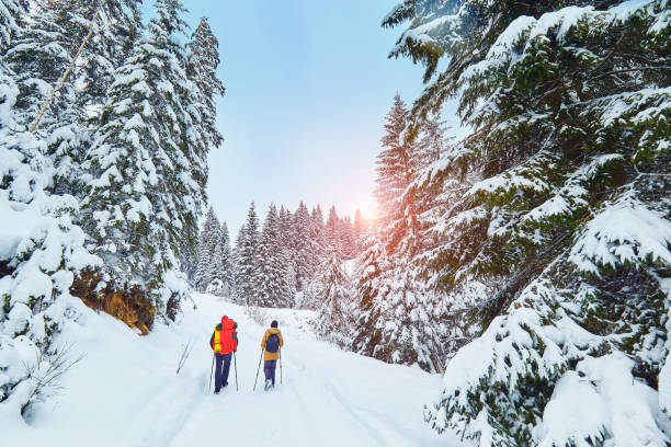 istock snow covered hiking trail in winter forest 1093546232