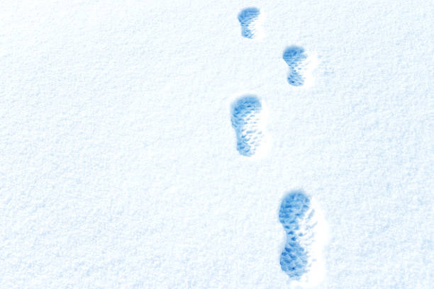 istock Footprints in deep snow and a tree on horizon. Winter landscape 1093548394