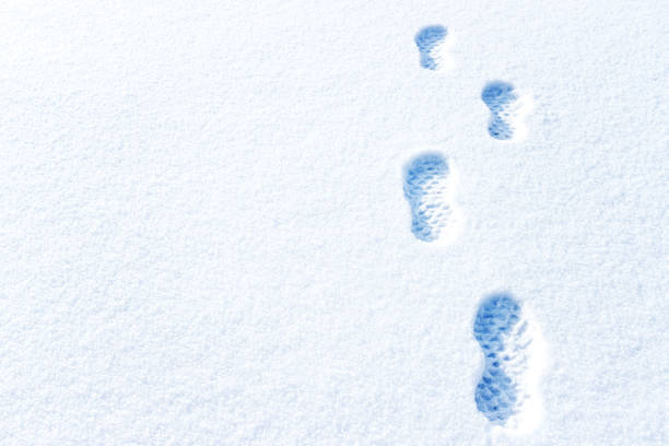 istock Footprints in deep snow and a tree on horizon. Winter landscape 1093548400