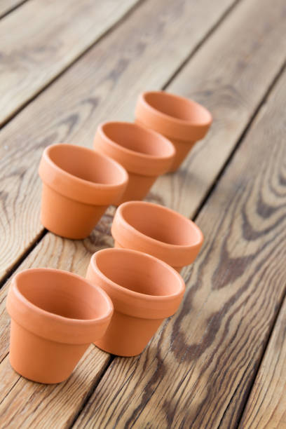 istock Flower pots and wooden background 1093548710