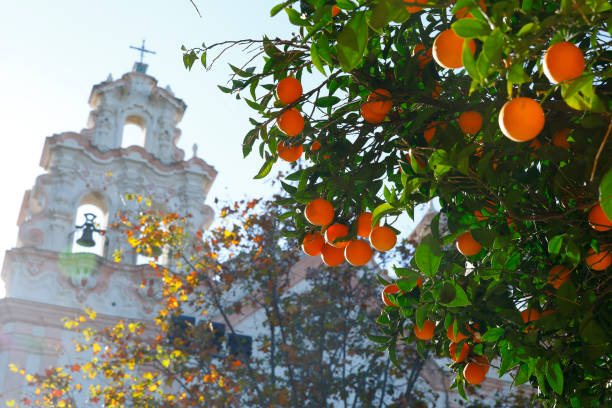 카디 즈, 스페인 바로크 교회 (iglesia 델 카르멘) - cross autumn sky beauty in nature 뉴스 사진 이미지