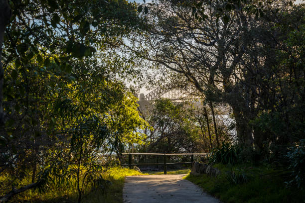 Cremorne Point Nature Reserve, Sydney, NSW, Australia