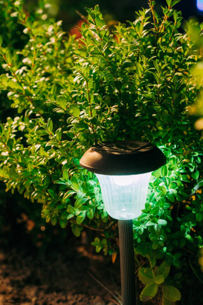 istock Solar Garden Light, Lantern In Flower Bed. Garden Design. Solar Powered Lamp 1093554484