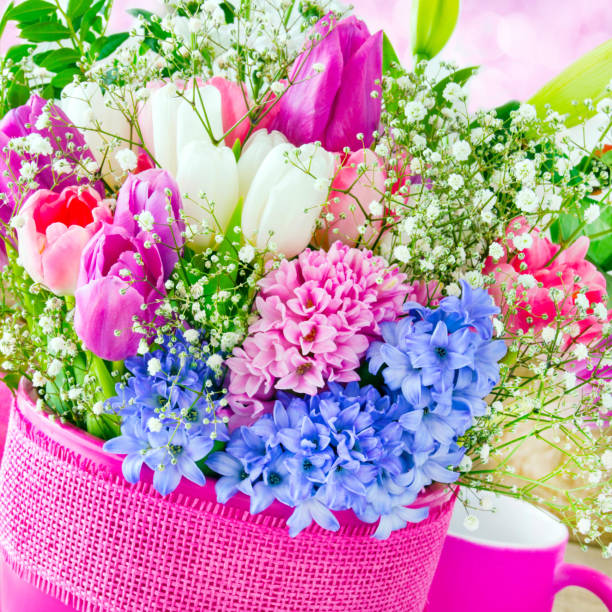 springtime  flowers and decoration - flower pot vase purple decor imagens e fotografias de stock