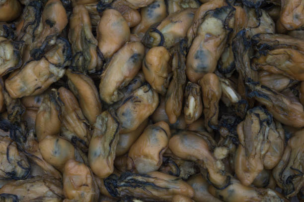Semi-dried oysters in Hong Kong